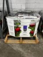 Amz High Count Electronics #153 - Image 2